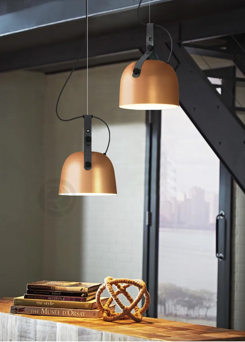 Pendant light RENAE