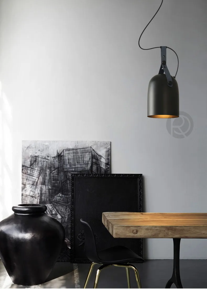 Pendant light RENAE