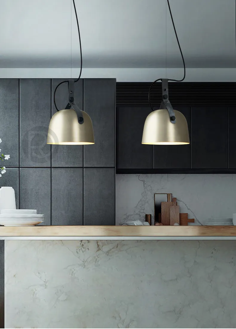 Pendant light RENAE