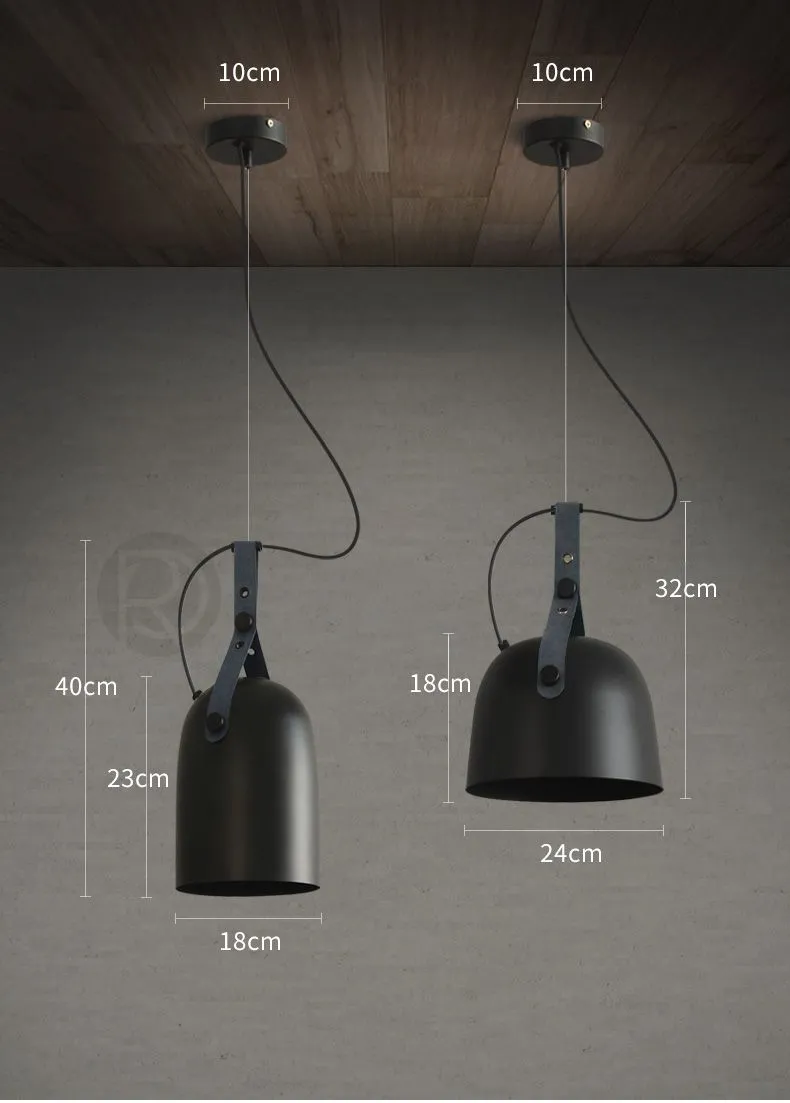 Pendant light RENAE