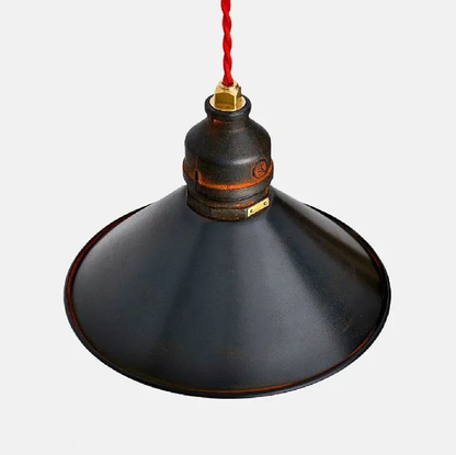 Bend Pendant light